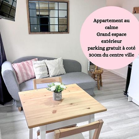 Le Badebec, Appt Dans Maison Typique Avec Jardin Prive Chinon Buitenkant foto