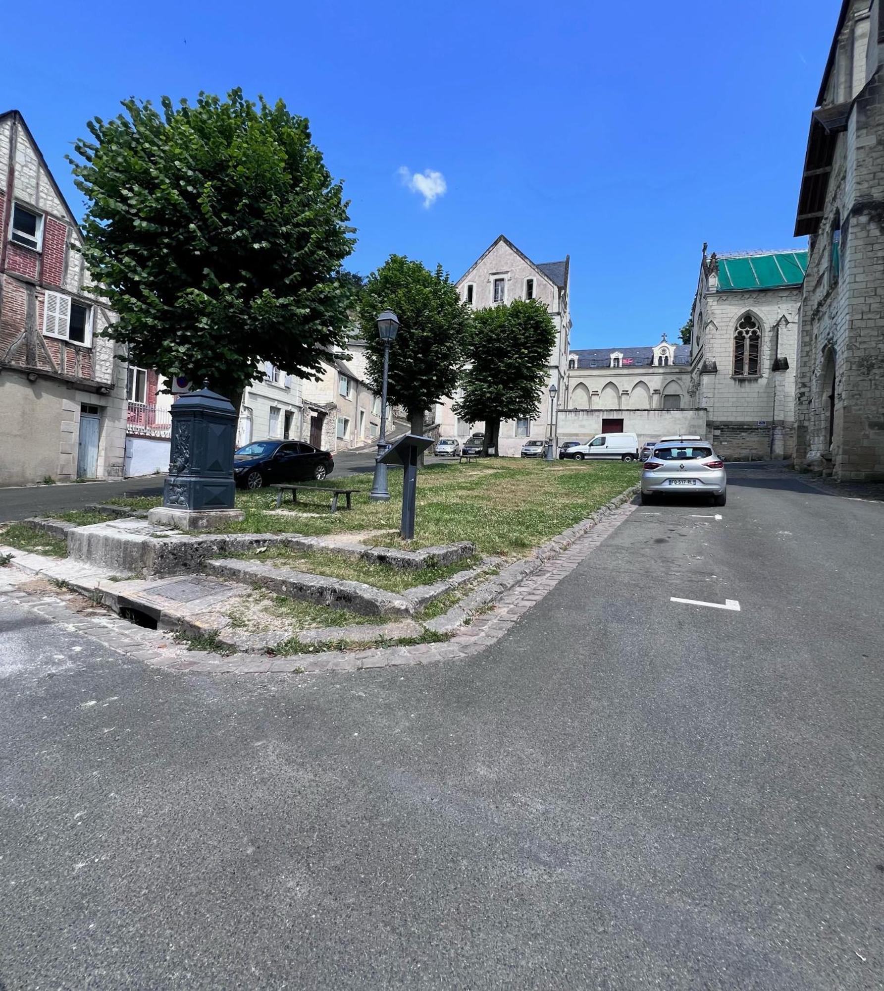 Le Badebec, Appt Dans Maison Typique Avec Jardin Prive Chinon Buitenkant foto